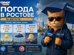 В Ростове 19 августа потеплеет до +31, днем возможен дождь