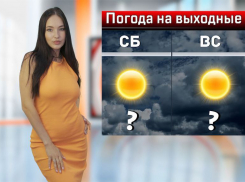 В Ростовской области на выходных ожидается жара до +36 градусов