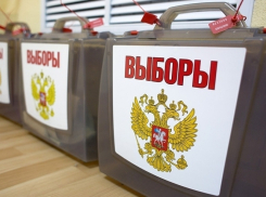 Наблюдателей в Ростове пускают на избирательный участок по очереди