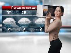 В Ростове последние выходные ноября резко потеплеет и будет лить дождь