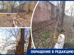 Рухнувшее в центре Ростова дерево оставило без газа жителей многоэтажки