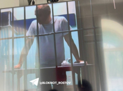 Экс-министру донского ЖКХ Майеру облсуд оставил приговор без изменений
