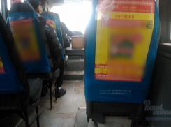 Мужчина выразил благодарность водителю маршрутки в Ростове, которого «развел» на деньги