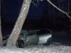 Неуправляемая иномарка под Ростовом врезалась в дерево: пострадали четыре человека