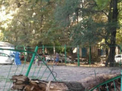 Жара спасла малышей от убийственного дерева на детской площадке Ростова