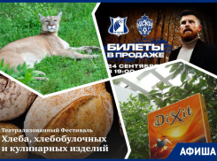 Идем в Игротеку, кормим пуму и угощаемся на Фестивале хлеба: куда пойти в Ростове на этой неделе