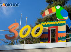 Переданного в Ростовский зоопарк в счет слоненка Эколь шимпанзе не нашли в базе данных