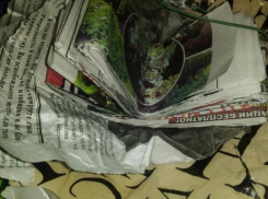 «Потомственная ясновидящая» на улице Ростова устроила пенсионерке под гипнозом ужасное исцеление от «смертельной болезни всей семьи»