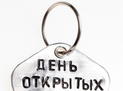 В Ростове пройдет день открытых дверей, посвященный ситуации в Египте