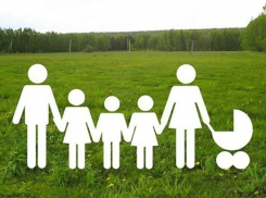 Более 3000 многодетных семей Ростовской области получили в дар земельные участки 