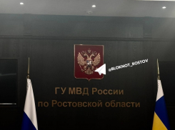 В Ростовской области число мигрантов выросло на 15,6% за полгода