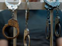 Серийных похитителей мяса задержали в Ростовской области 