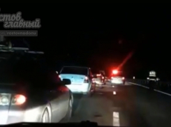 Под Ростовом водитель сбил на трассе стадо кабанов