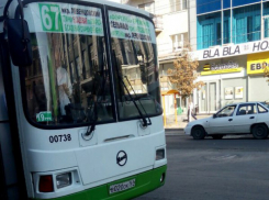Забитые под завязку автобусы напугали своей непредсказуемостью пассажиров Ростова