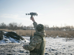 Более 42 млн руб направят на защиту электросетей от БПЛА в Ростовской области