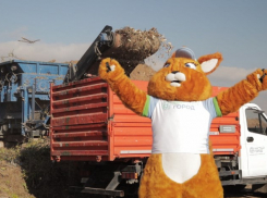 Приключения крупногабаритного мусора: ростовчанам рассказали, как правильно выбрасывать КГО