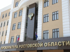 Прокуратура проверит перевозчика из-за которого погибли пять человек в Ростовской области