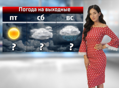 В Ростове на выходных ожидается дождь с грозой