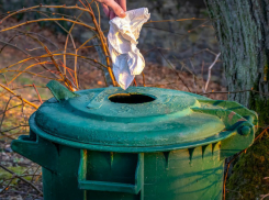 Регоператор приглашает ростовчан и гостей города принять участие в «Экопикнике» 
