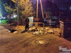 Ростовчанин хотел сдать на металлолом мусорные контейнеры