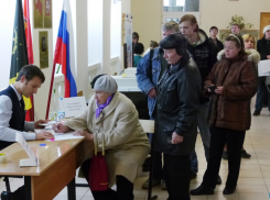 В Ростовской области на дополнительные выборы депутатов идут самовыдвиженцы  