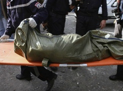 Мужчина погиб после жуткого столкновения машины с деревом в Ростовской области