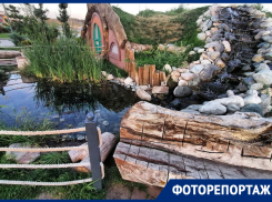 Музыкальный фонтан и пруд с живыми карпами: каким стал парк возле ТЦ Мега