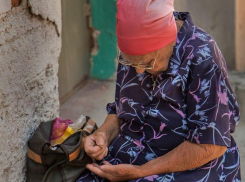 В Росситате насчитали в Ростовской области более полумиллиона бедных