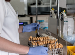 В Ростовской области заболели больше 13% врачей