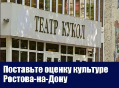 Сживание со свету театра кукол и посягательство на книжный развал: итоги года - 2017