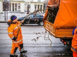 Ростовчан приглашают принять участие в месячнике чистоты