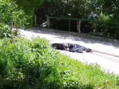 В Ростове мужчина выпал на асфальт из окна многоэтажки