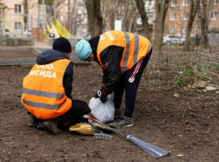 В Ростове во время субботника вывезли более 230 тонн мусора