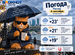 Дождливо и до +23 градусов будет в Ростове 6 сентября