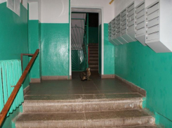 В Ростовской области в 2023 году отремонтируют более 300 подъездов