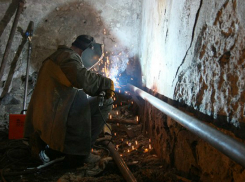 Плавающие в кипятке обваренные трупы котов опознавали по хвостам жильцы многоэтажки Ростова