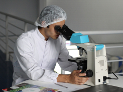 За сутки в Ростовской области выявлено 135 случаев коронавируса