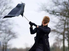 В Ростовской области ожидается ураганный ветер