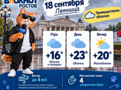 Пасмурно и до + 23 градусов будет в Ростове 18 сентября
