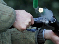 Жестокое убийство ребенка на глазах у матери совершил мужчина в Ростове