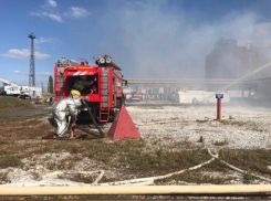 В Каменском лесничестве Ростовской области вспыхнул крупный лесной пожар
