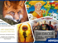 Кормим лисичек, ищем «Волшебное кольцо» и решаем «Задачу трех тел»: куда пойти в Ростове на этой неделе