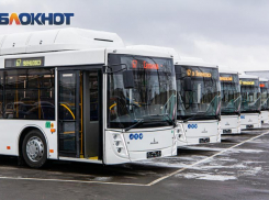 «Ростовпассажиртранс» планирует закупить 90 автобусов в лизинг, хотя нехватка водителей составляет 51%