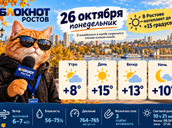 В Ростове 26 октября потеплеет до +15 градусов