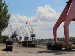 Ростовская область увеличила экспорт в страны Азии и Африки  