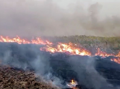 За прошедшие сутки зарегистрировано 49 природных пожаров в Ростовской области