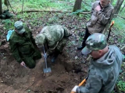 Останки красноармейца из Ростова найдены в Смоленской области