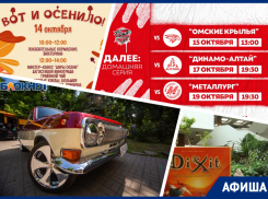 Проходим лабиринт из сена, смотрим ретроавто и преодолеваем языковой барьер: куда пойти в Ростове на этой неделе