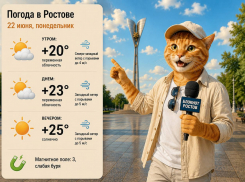 Рабочая неделя в Ростове начнётся с облачной погоды и до +25 градусов