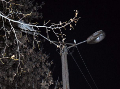 Прокуратура потребовала включить свет в нескольких районах Ростовской области